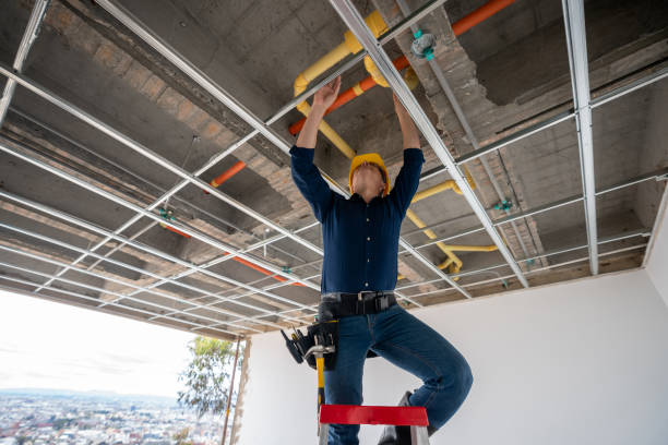 Best Plumbing Repair Near Me  in Drexel Heights, AZ